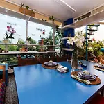 Casa Itzae B&B Polanquito Dog Friendly