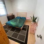 Habitacion Privada En La Colonia Roma