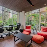 Coyoacan Comfort Modern And Cozy