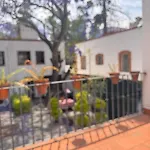 Nice Little House San Angel Coyoacan