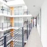 Immaculate Chapultepec Apartment