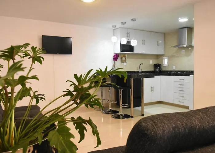 Departamento Alejandro - Completo Y Amplio Departamento En Una Zona Muy Tranquila De La Cdmx