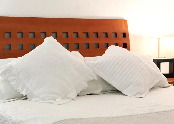 Suite 1-B El Rincón Garden House, Welcome To San Angel