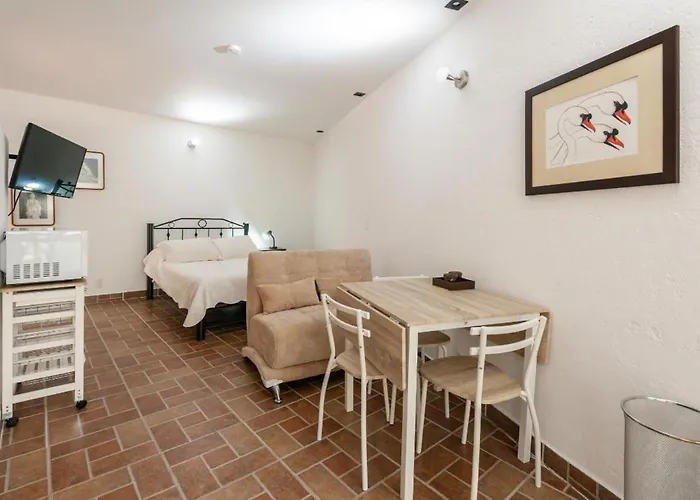 Suite 5B, Cultura, Garden House, Welcome To San Angel