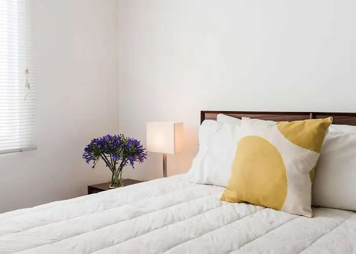 Condesa Residence Campeche 10 Amazing 2 Bedroom 1 Bathroom Oasis With Ample Room