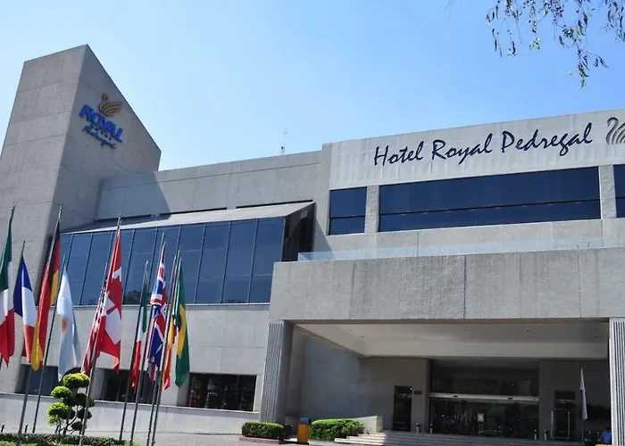 Royal Pedregal