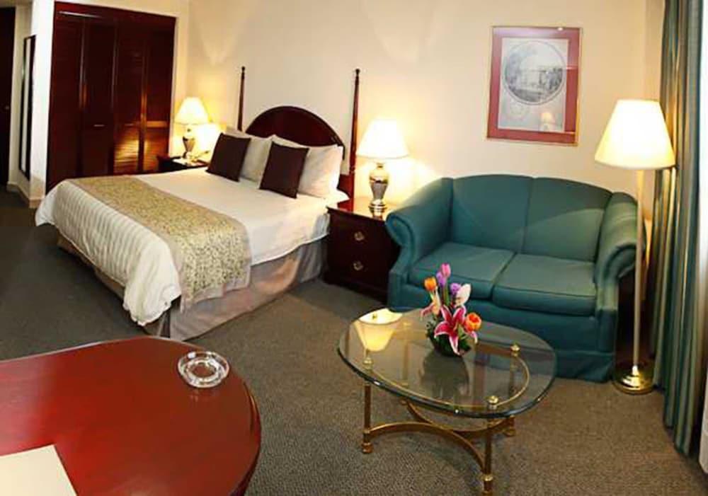 Hotel Pedregal Palace 3*