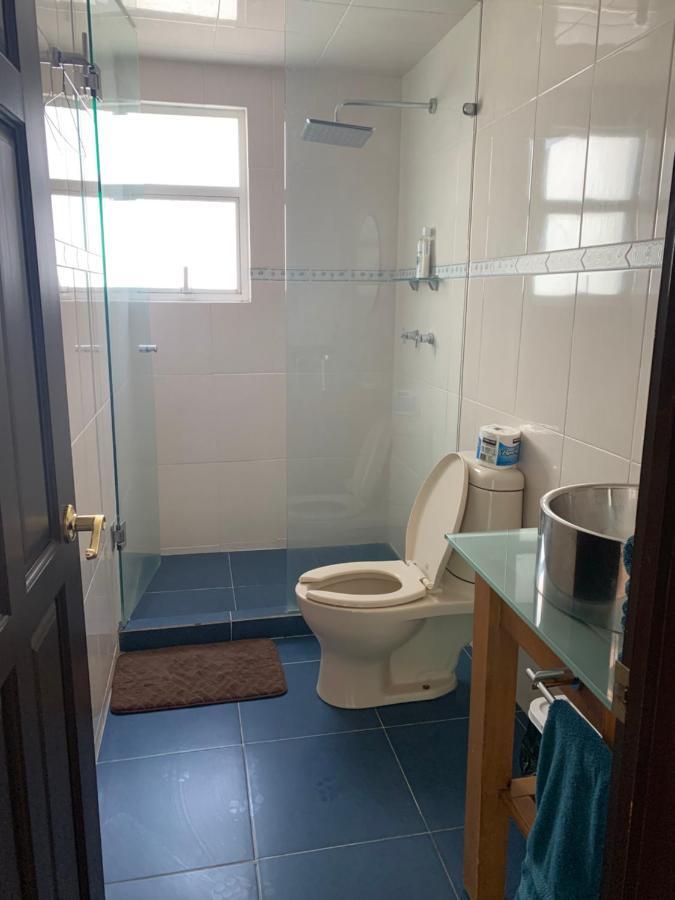 Apartment Rooftop Penthouse Lamartine Polanco *