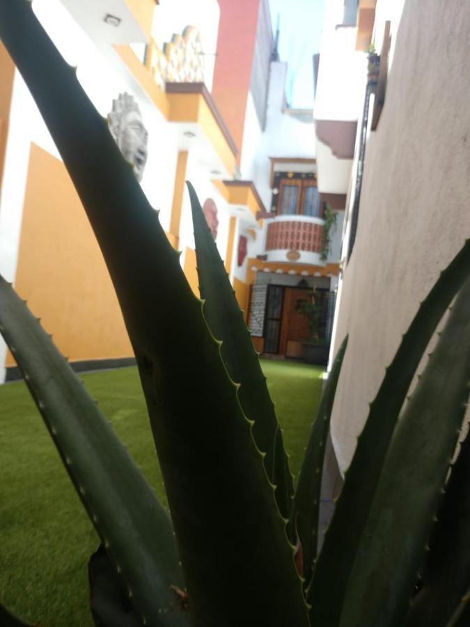 Casa Mexicana Patio