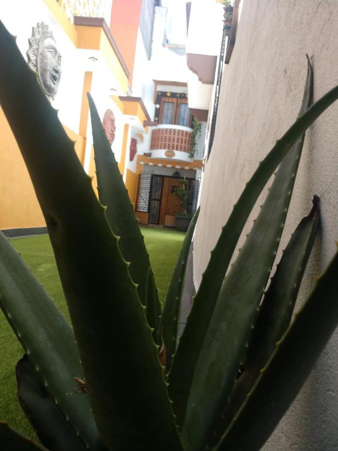 Casa Mexicana Patio Holiday home *