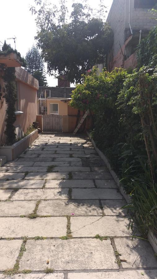 Maktub Only Girls & Breakfast Exclusivo Para Damas Pet Friendly Mexico City