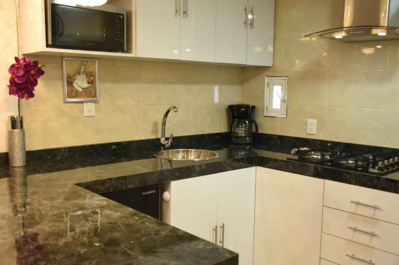 Departamento Alejandro - Completo Y Amplio Departamento En Zona Muy Tranquila De La Cdmx Apartment *