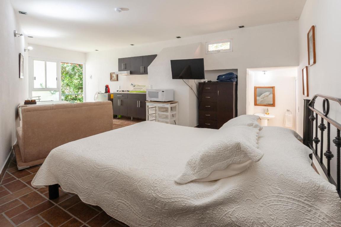 5b, Cultura, Garden House, Welcome To San Angel Apartment