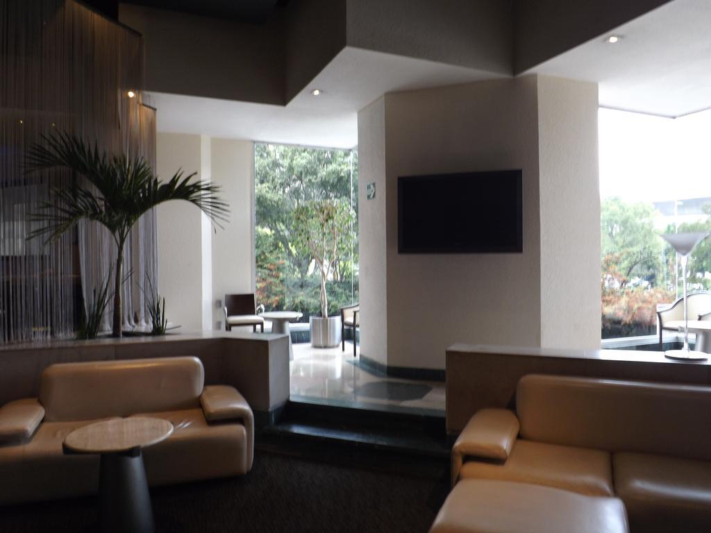Royal Pedregal Hotel 5*
