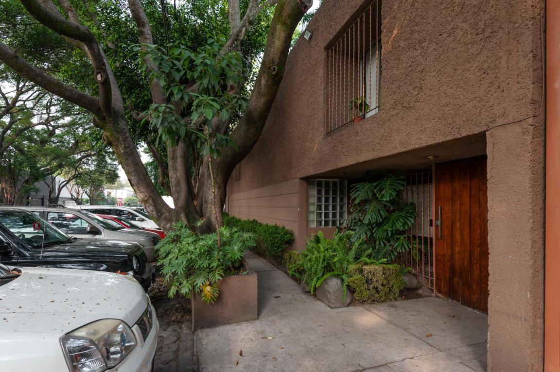 1-b El Rincón Garden House, Welcome To San Angel Apartamento