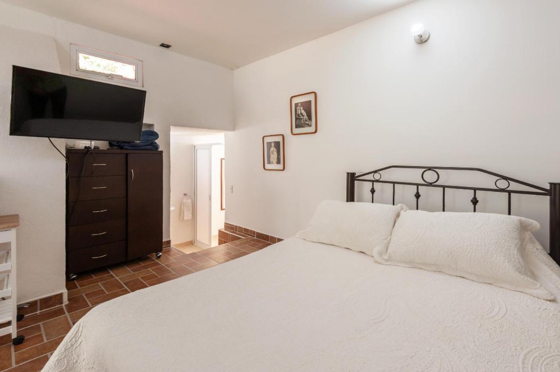 5b, Cultura, Garden House, Welcome To San Angel Apartment Mexico City