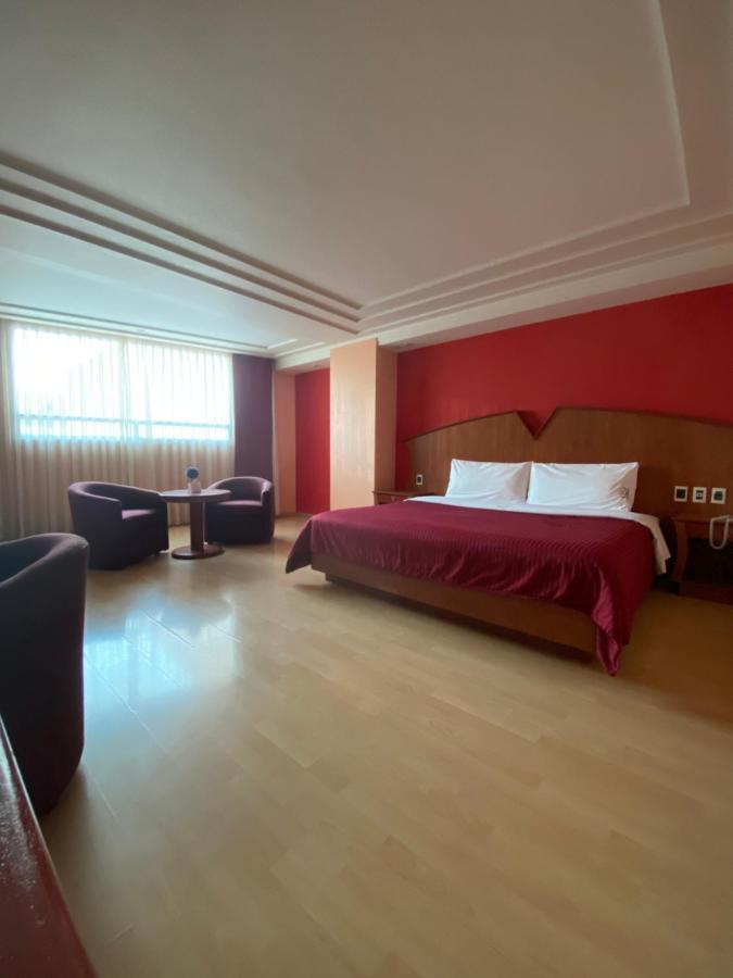 Maria Rico Hotel Mexico City