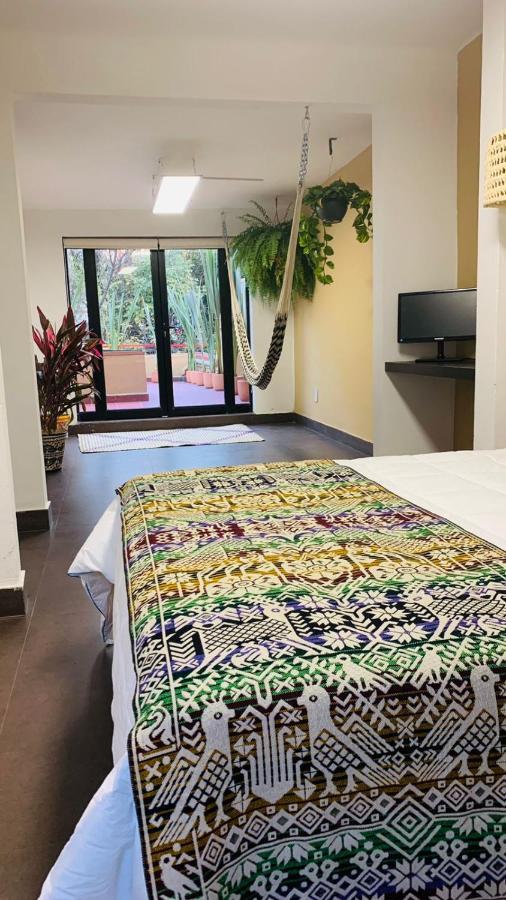 Bed & Breakfast The Reef House Condesa