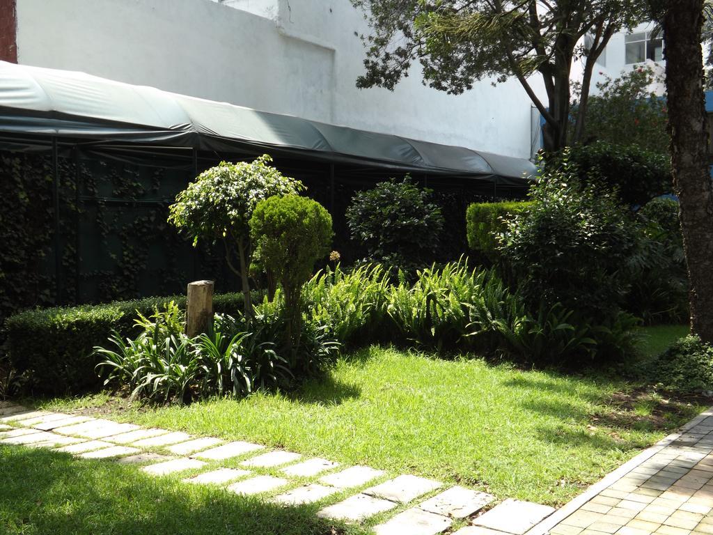 Pedregal Palace 3*