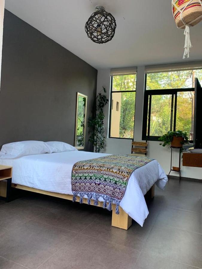 Bed & Breakfast The Reef House Condesa