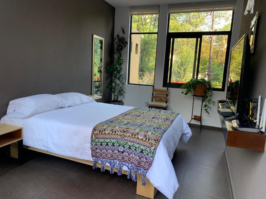 The Reef House Condesa Bed & Breakfast *