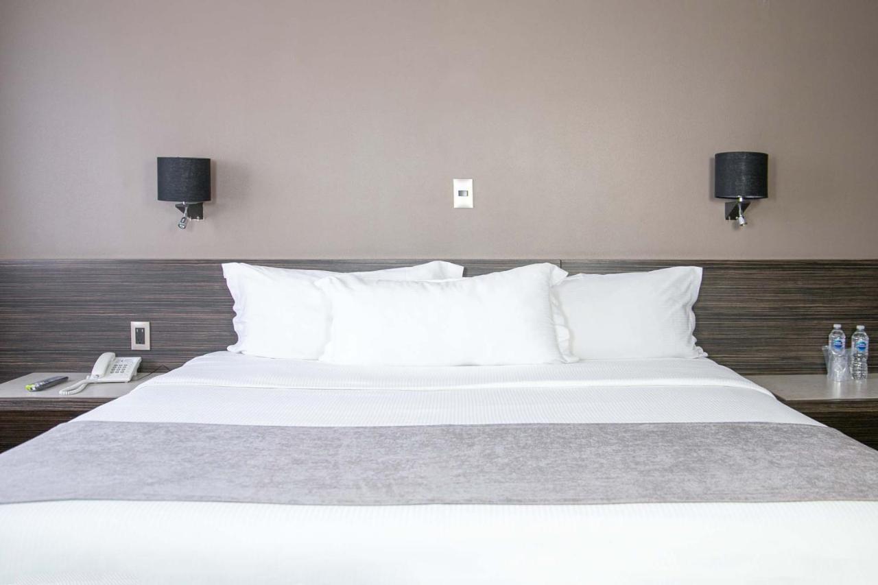 Hotel Brasilia Mexico City