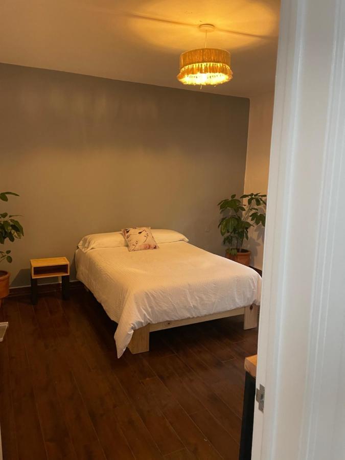 The Reef House Condesa Bed & Breakfast *