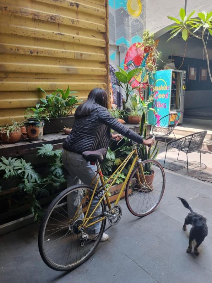 Metro Boutique Hostel Mexico City