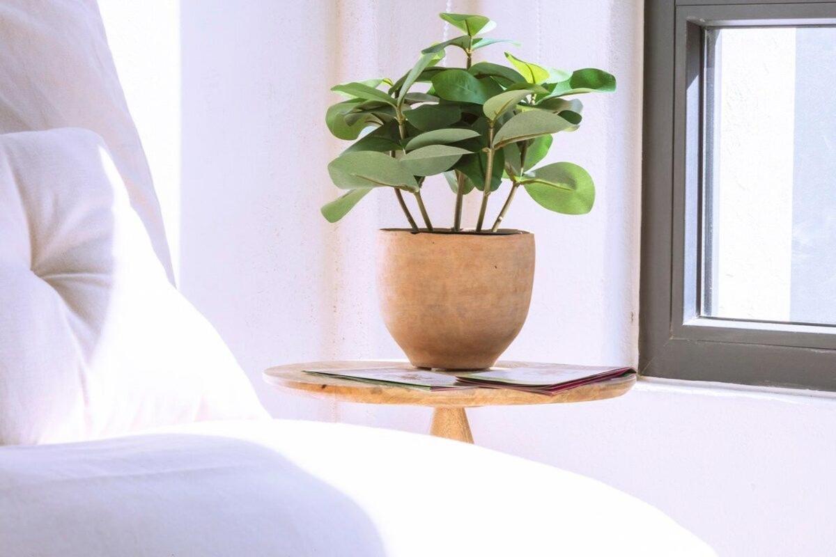 Exclusivo Loft A Pasos Del Zocalo No Lo Pierdas Apartment Mexico City