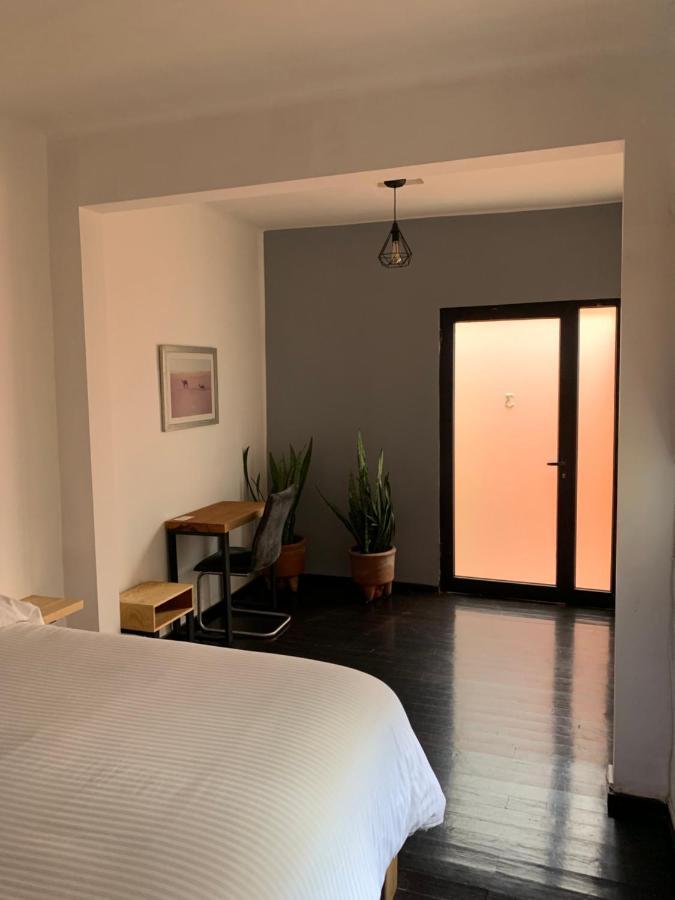 The Reef House Condesa