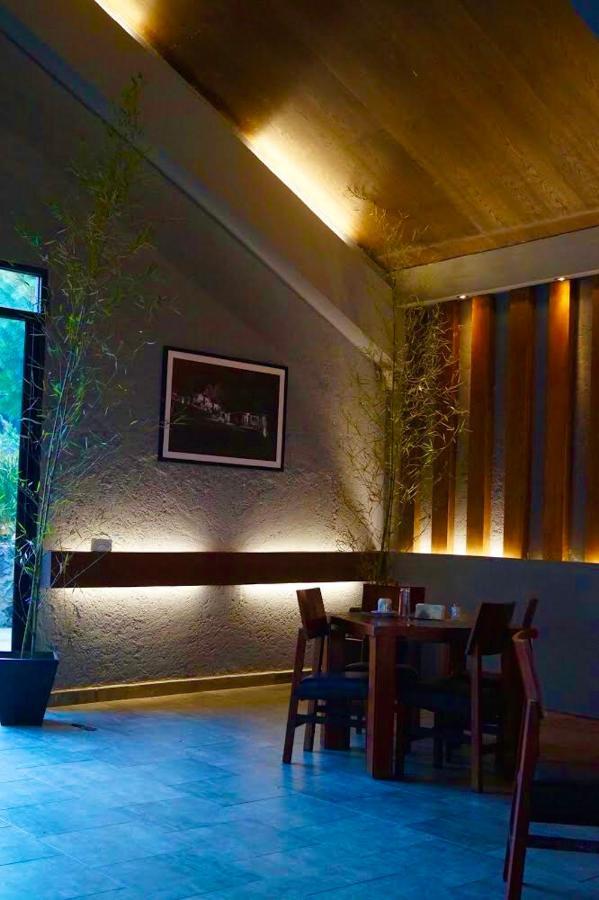 Hotel Organico Boutique Mexico City