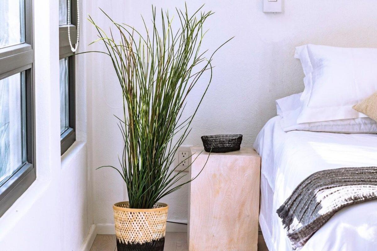 Exclusivo Loft A Pasos Del Zocalo No Lo Pierdas Apartment *