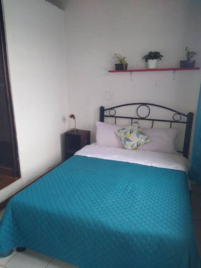 Homestay El Mirador *