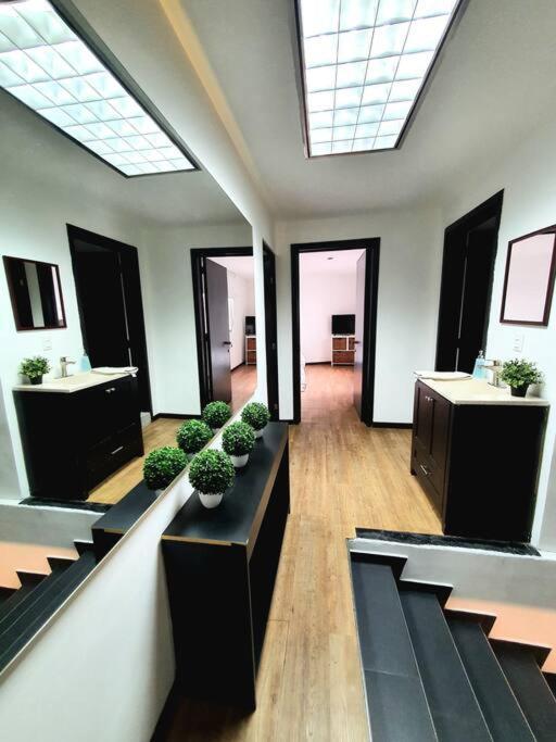 Privada C/ Terraza &escritorio Polanco. Hostel *