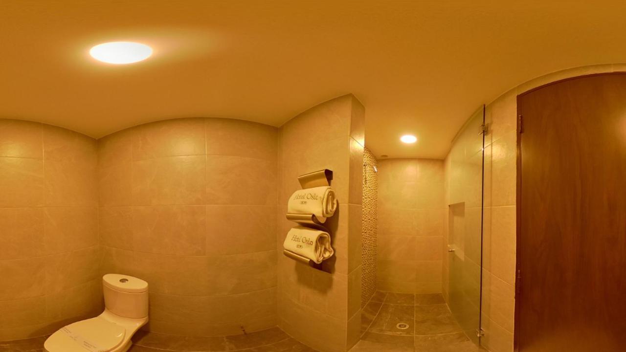 Oslo Hotel 3*