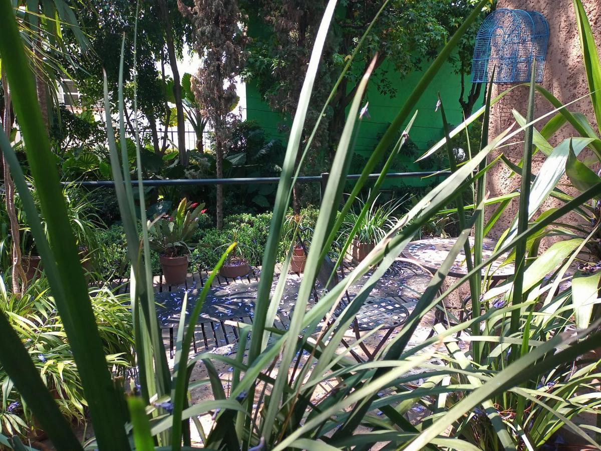 1-a Monasterio Garden House Welcome To San Angel Apartamento México DF
