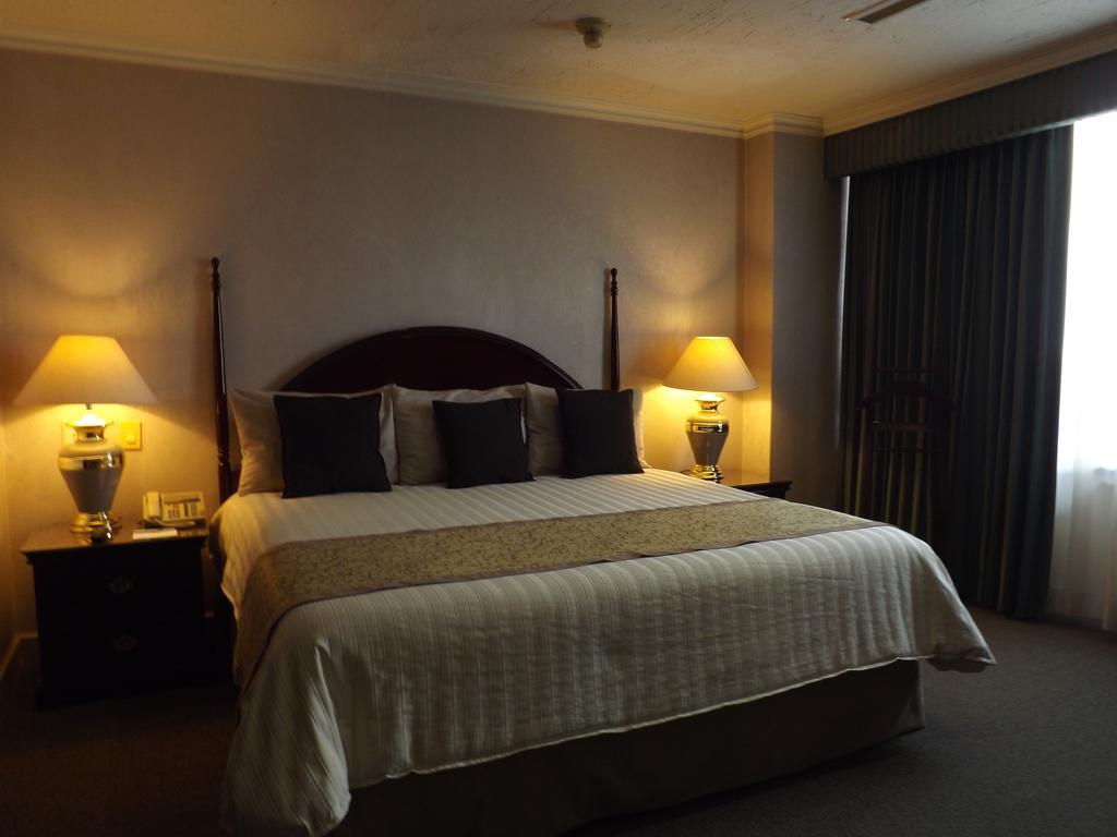 Hotel Pedregal Palace 3*