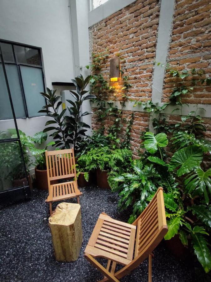 Casa Alfredo Bed & Breakfast Mexico City
