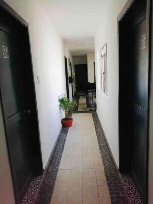Homestay A1 Cuartito Condesa Amsterdam