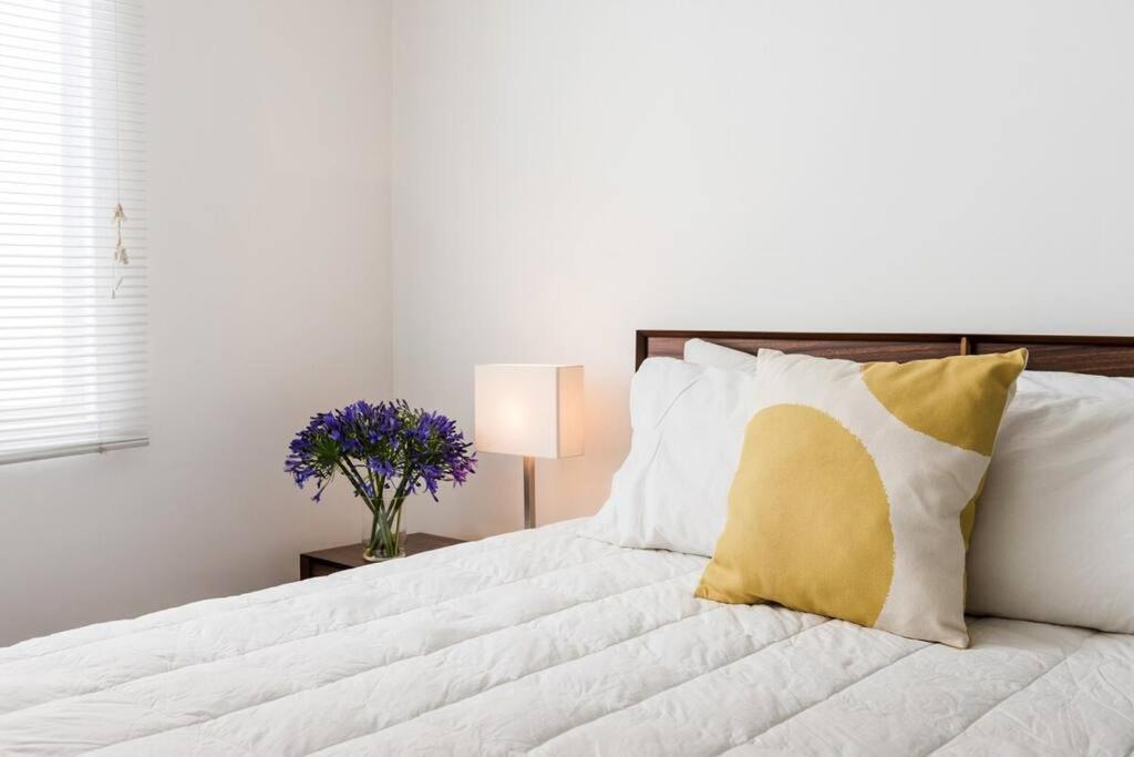 Apartment Condesa Campeche 10 Amazing 2 Bedroom 1 Bathroom Oasis With Ample Mexico City