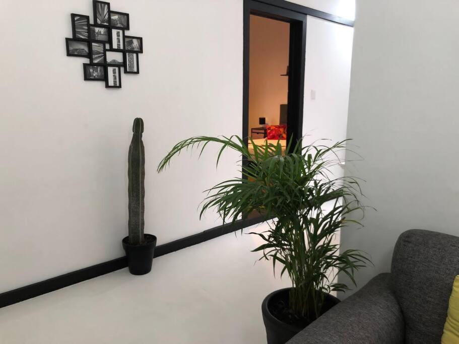 C2 Cuarto Condesa Amsterdam