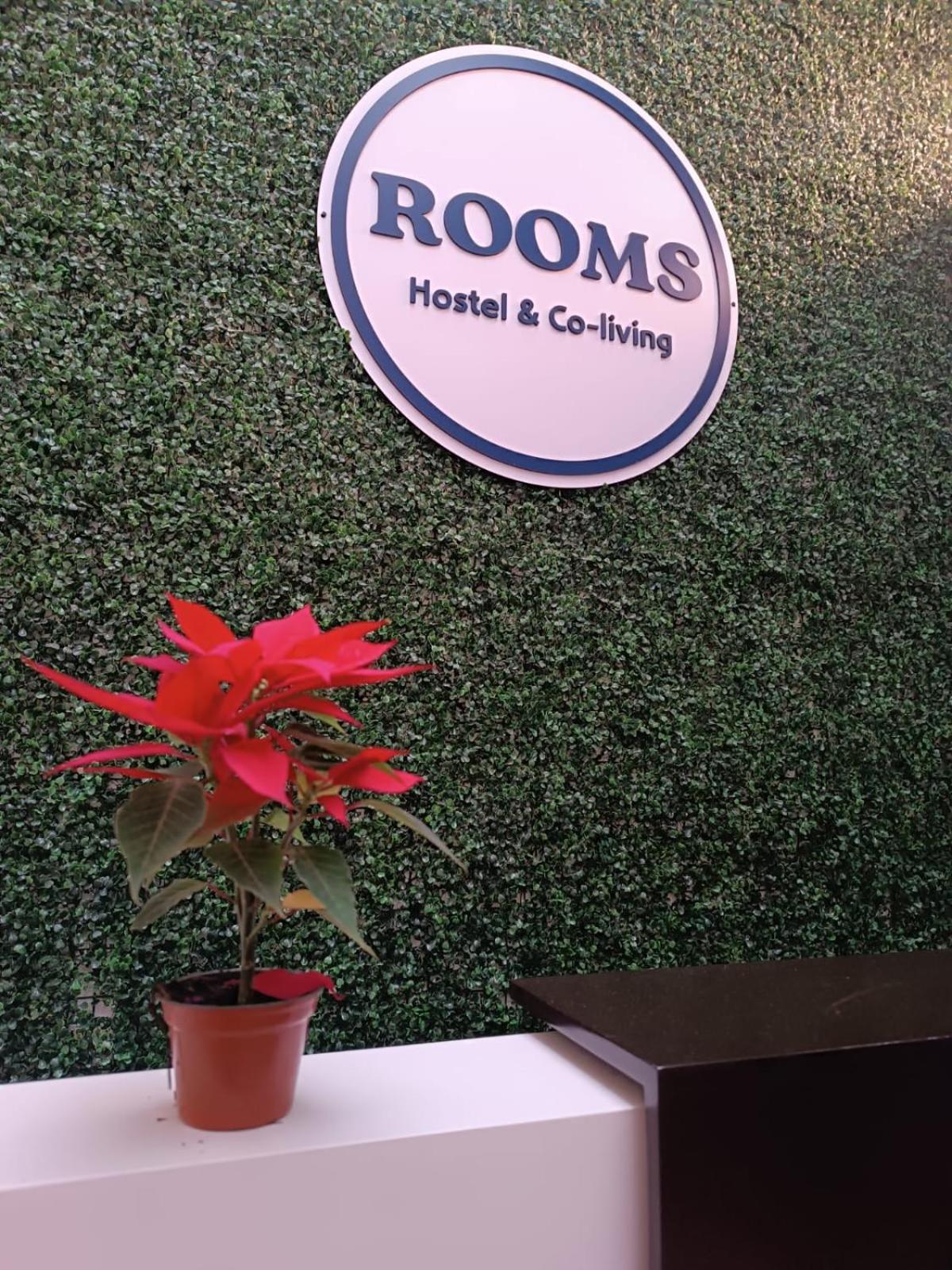 Roma Guest house *