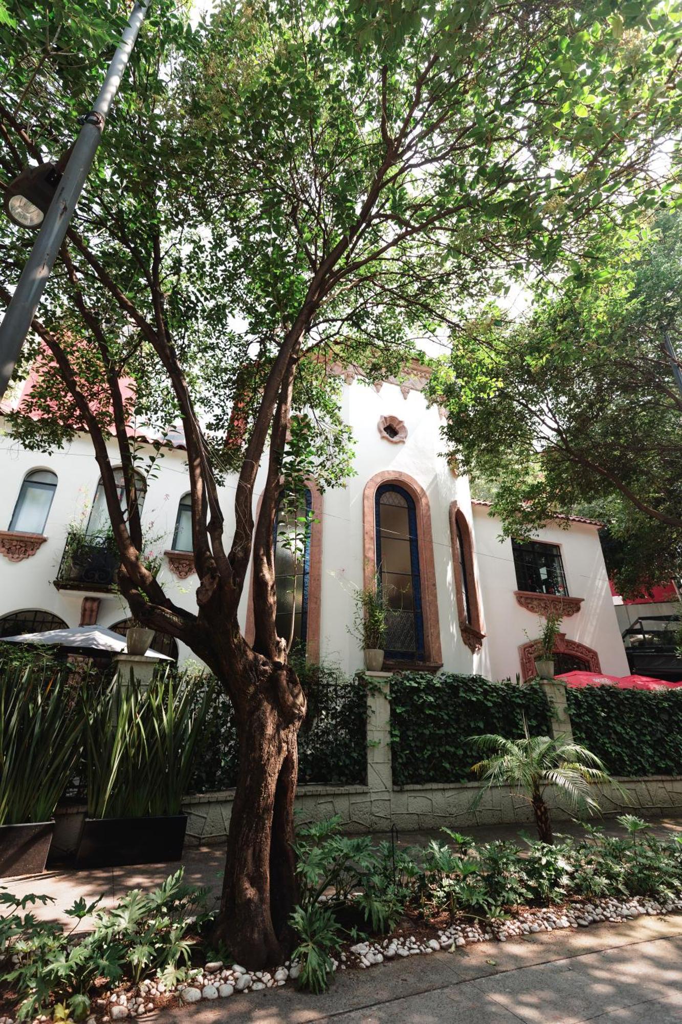 Orchid House Polanco Mexico City