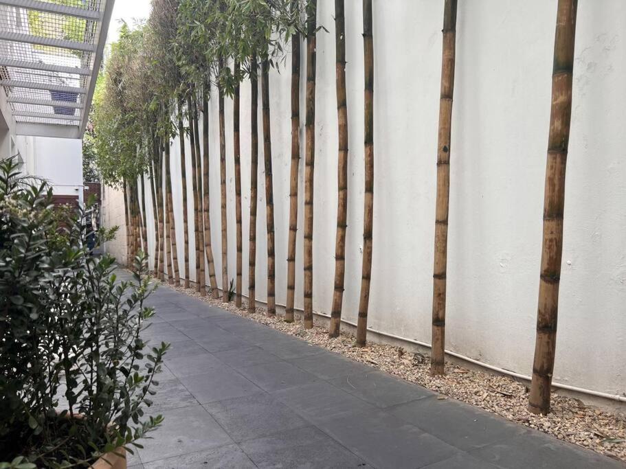 Condesa Amsterdam 101 Serene 1 Bed1bath On Amsterdam Av * México DF