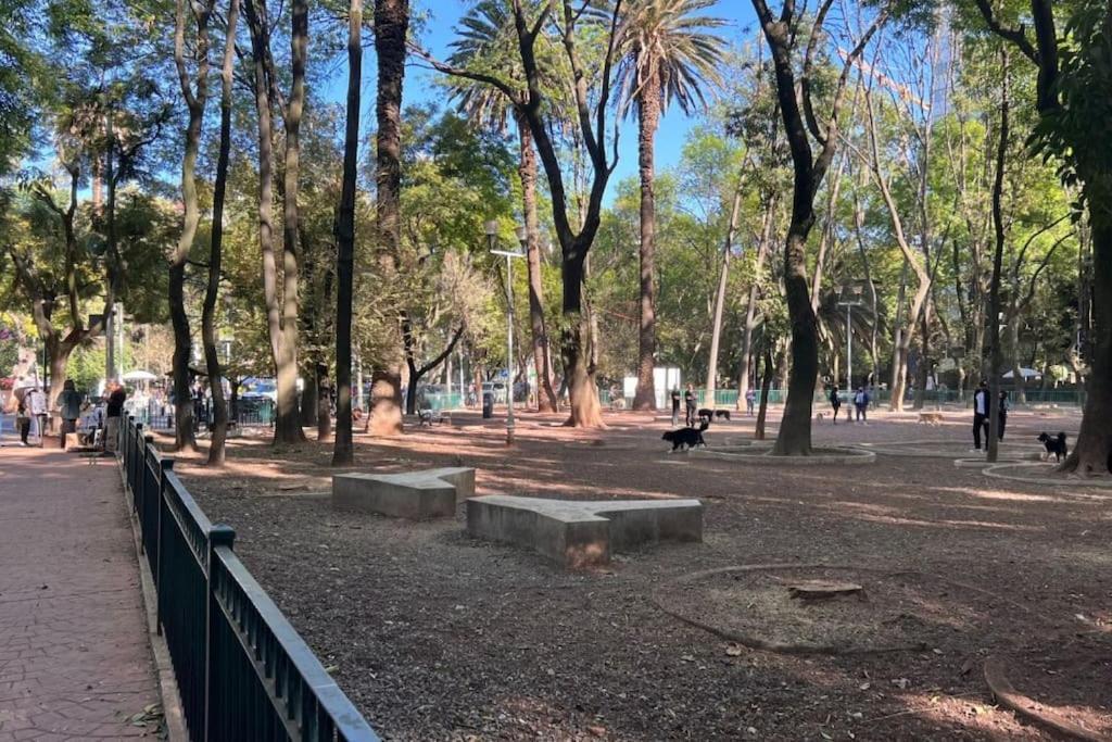 Condesa Campeche 10 Amazing 2 Bedroom 1 Bathroom Oasis With Ample Apartment Mexico City