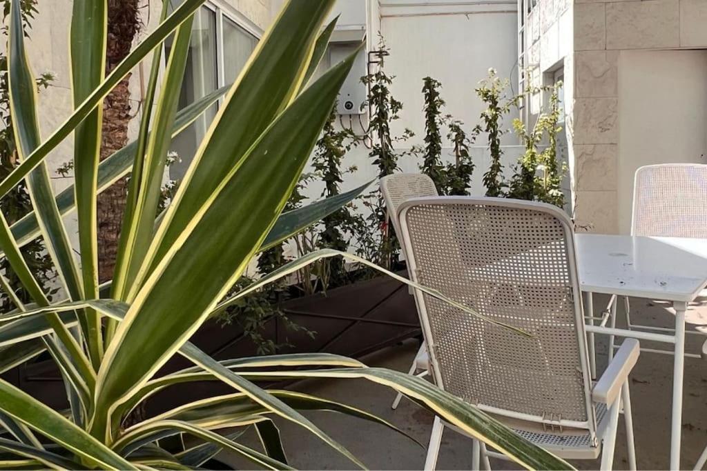 Apartment Condesa Amsterdam F Elegant With Inviting Ambiance On Amsterdam Avenue *