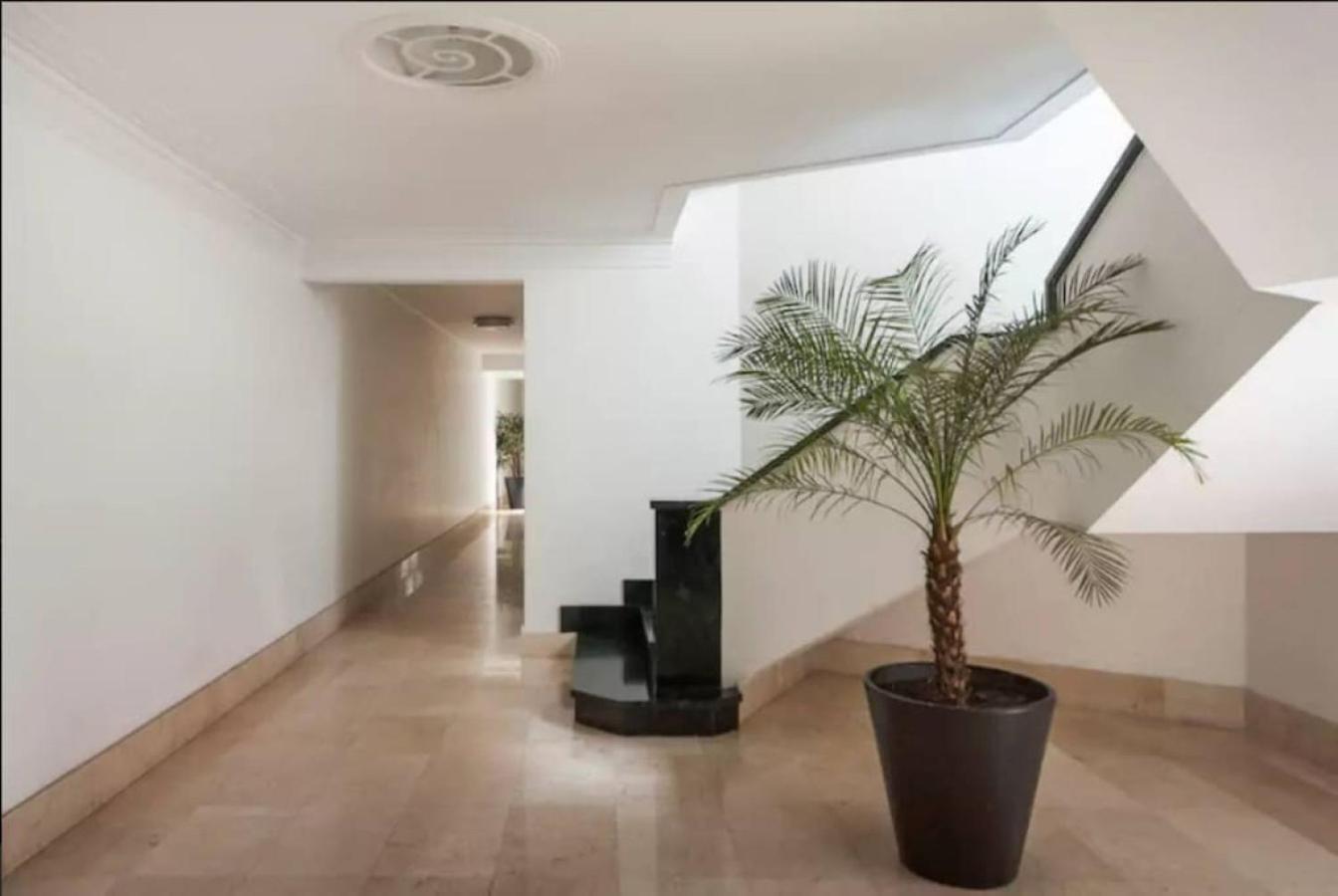 Condesa Campeche 10 Amazing 2 Bedroom 1 Bathroom Oasis With Ample Mexico City