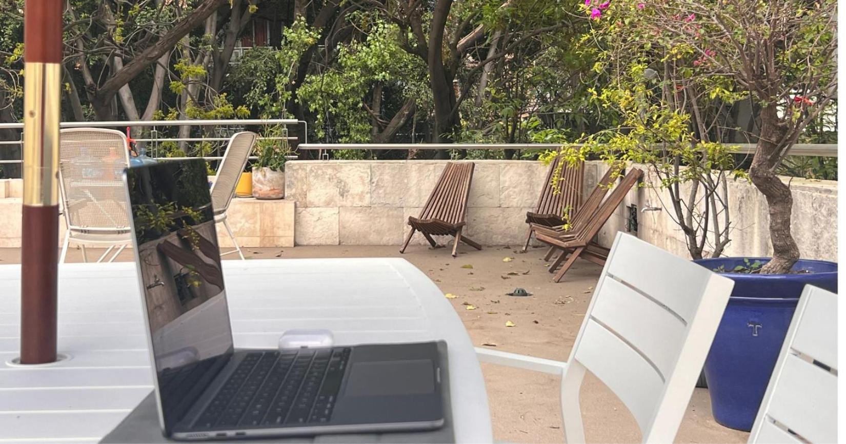 Apartment Condesa Amsterdam F Elegant With Inviting Ambiance On Amsterdam Avenue Mexico City