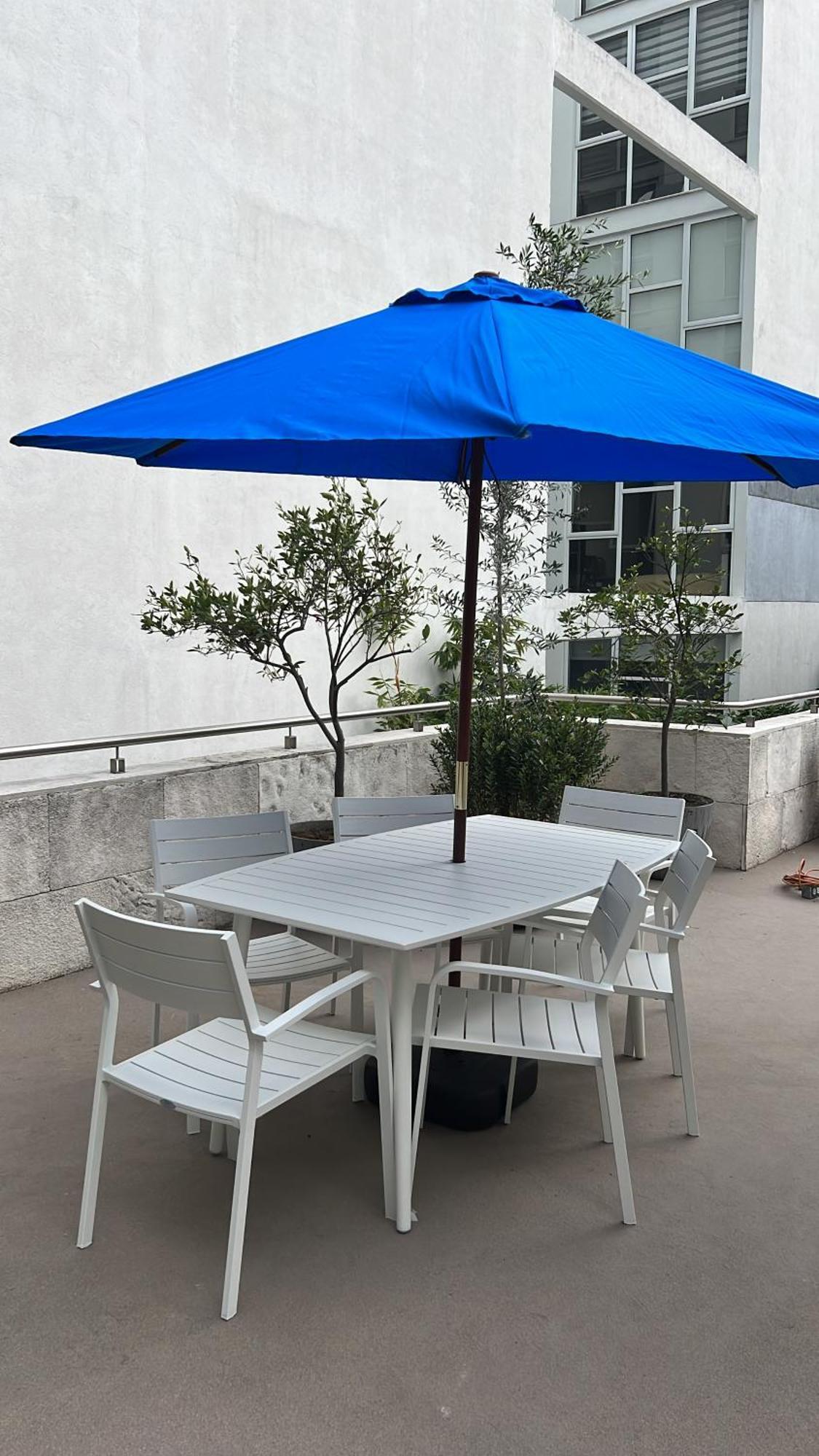Apartment Condesa Amsterdam F Elegant With Inviting Ambiance On Amsterdam Avenue Mexico City