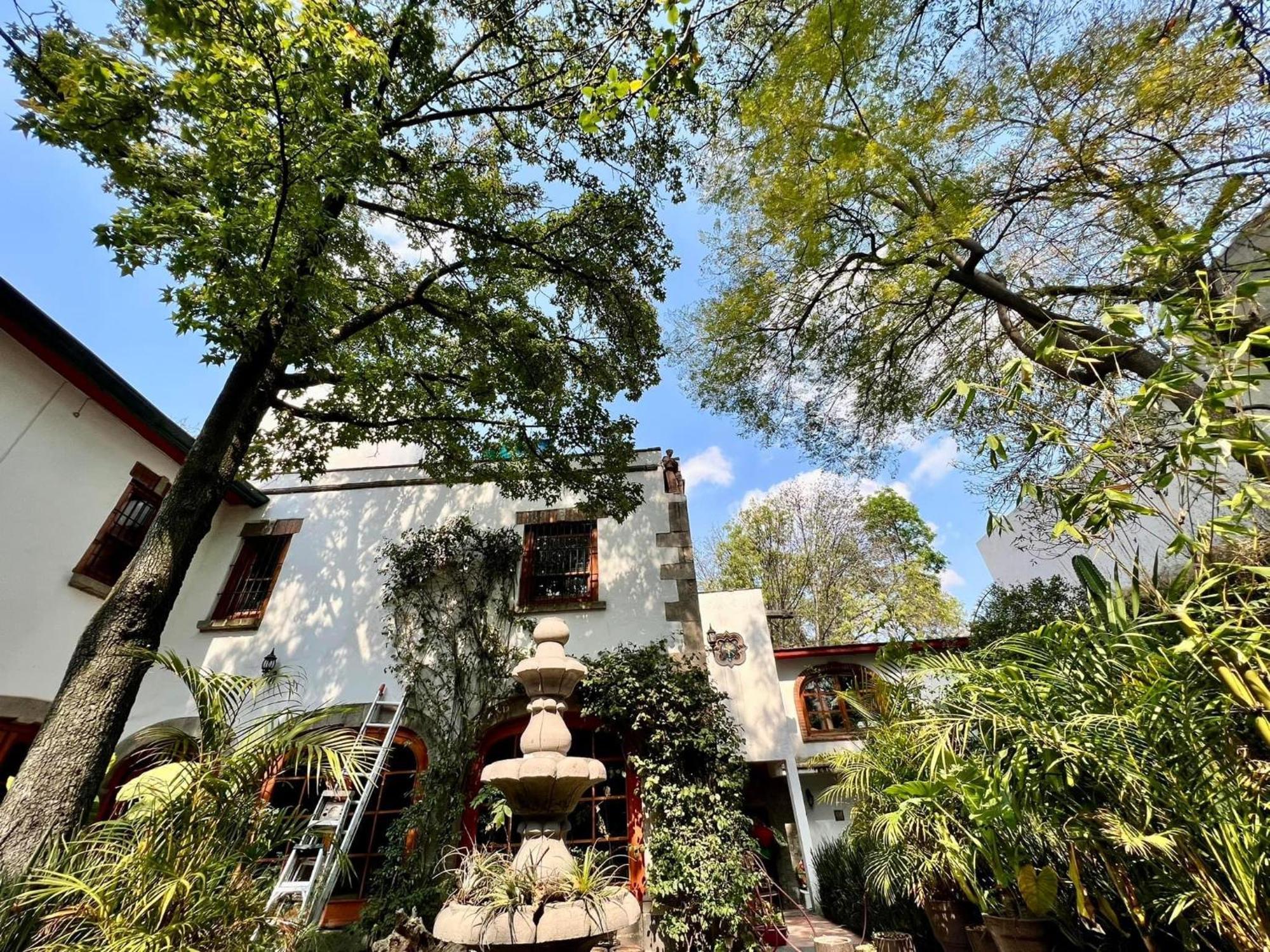 La Casa De Fleur De Lis In Historic San Angel Сasa de vacaciones